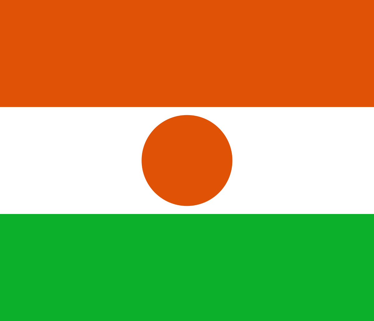 Niger Business Visa