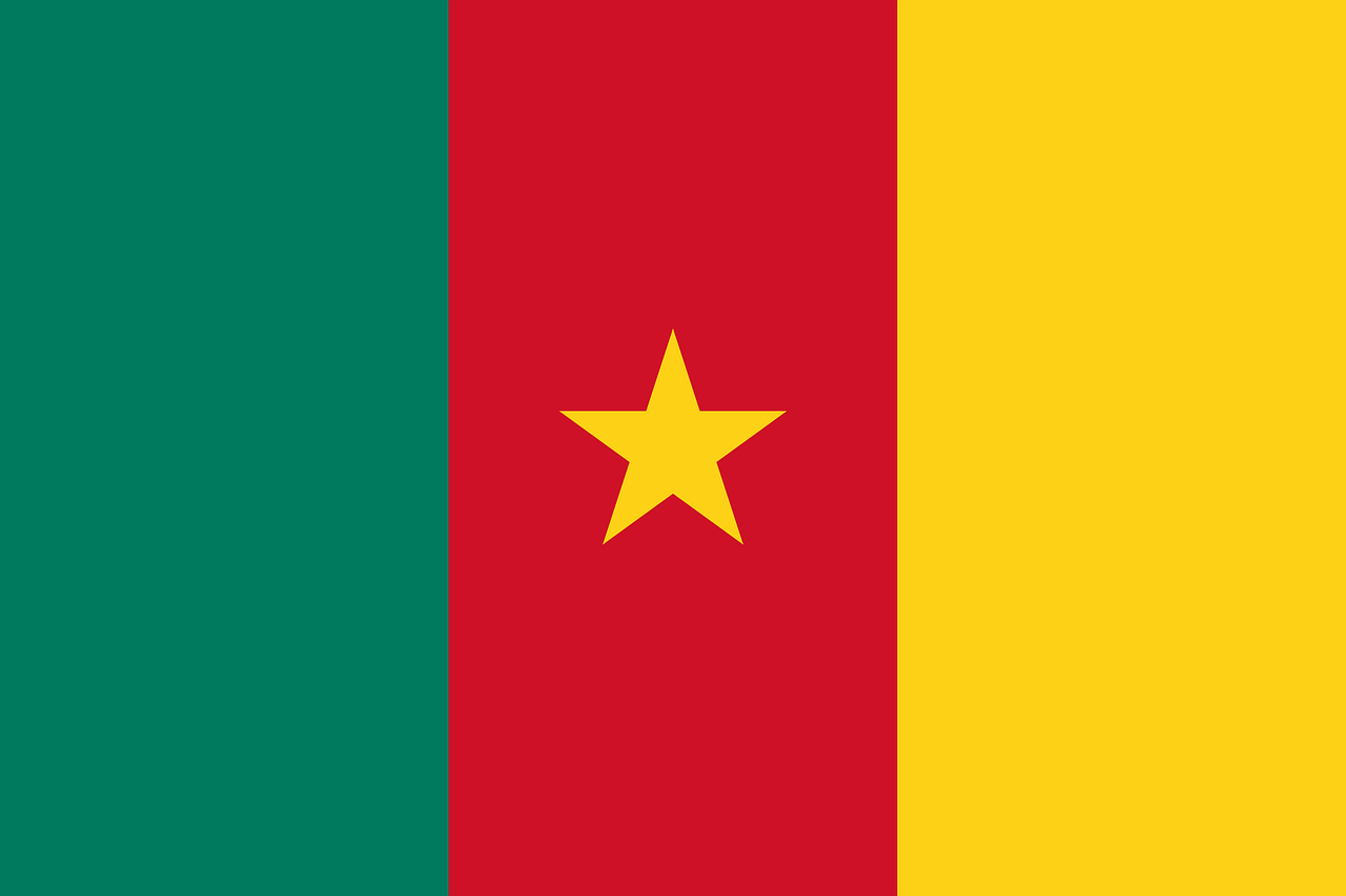Cameroon Tourist Visa (Cameroon Flag)