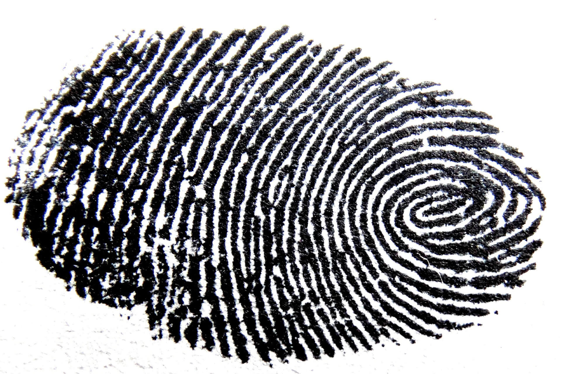 fingerprint34