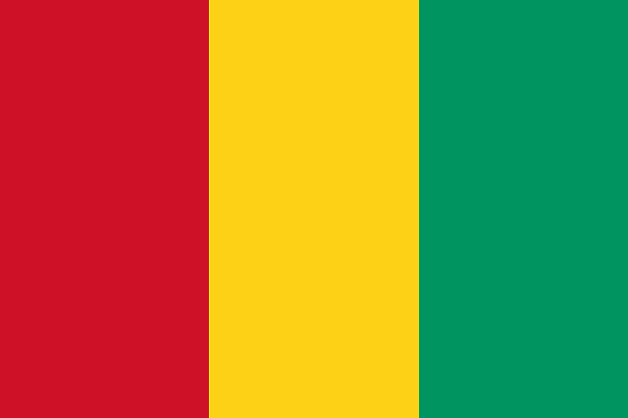 Guinea Tourist Visa (Guinea Flag)