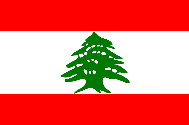 Lebanon tourist visa (Lebanon flag)