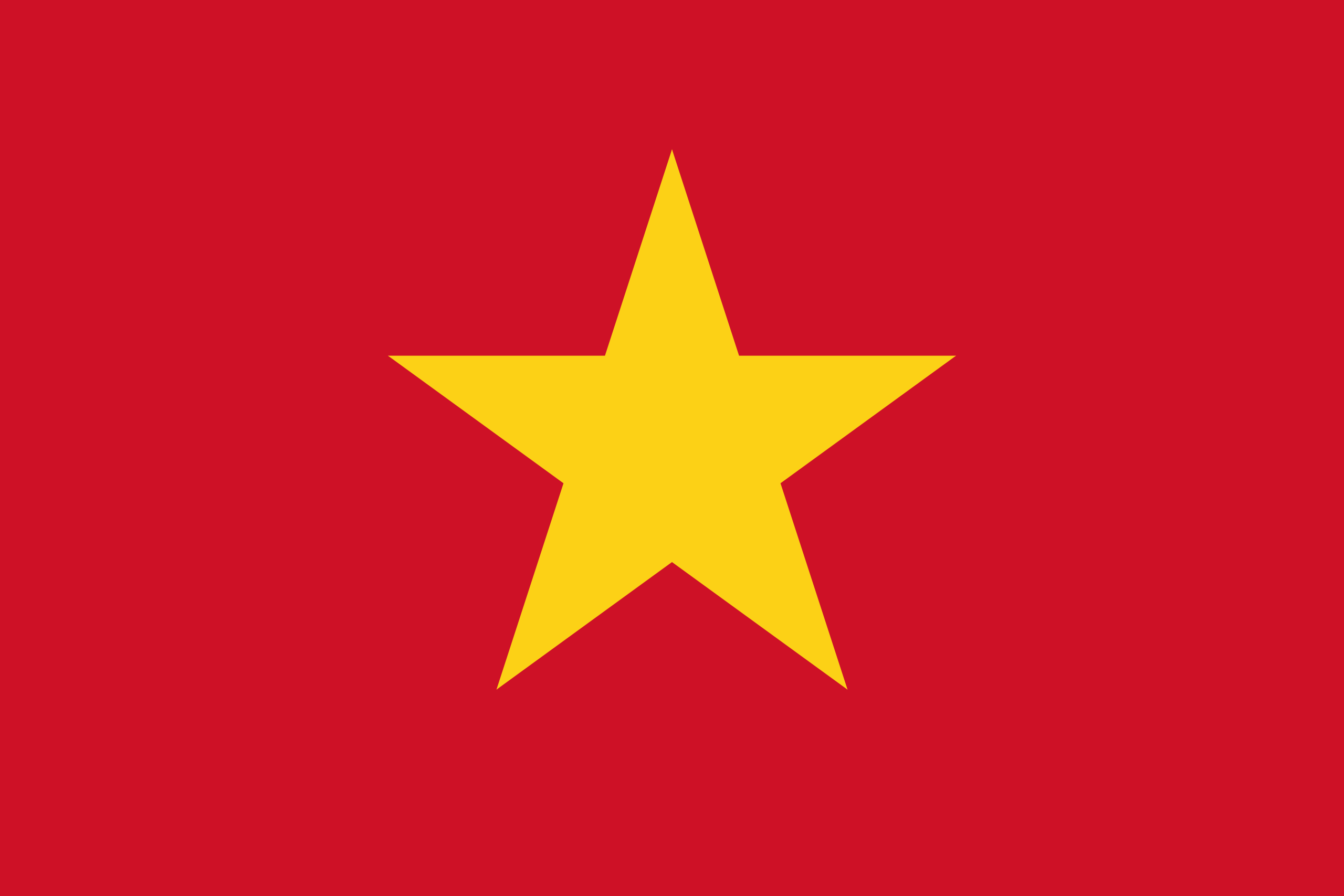 vietnam flag for vietnam tourist visa 