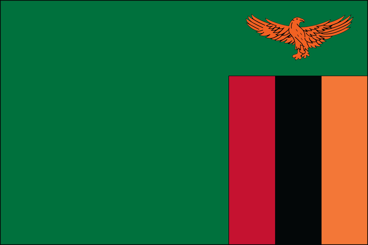 Zambia Tourist Visa (Zambia Flag)