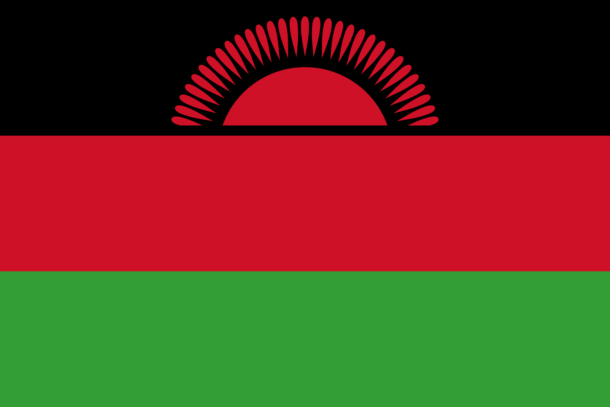 Malawi Tourist Visa (Malawi Flag)